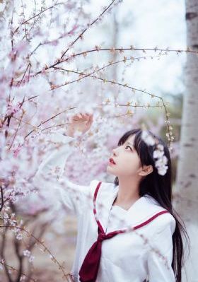 电视剧楚汉传奇完整版免费观看